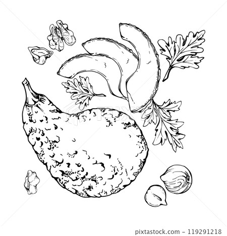Avocado vegetable, nuts, herbs for diet, healthy lifestyle, salad vegan cooking. Hand drawn vector ink. Illustration composition isolated on white background. Design recipe book, website, card, menu Avocado vegetable, nuts, herbs for diet, healthy lifestyle, salad vegan cooking. Hand drawn vector ink. Illustration composition isolated on white background. Design recipe book, website, card, menu 119291218