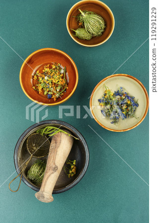 Medicinal herbs, alternative medicine. 119291229