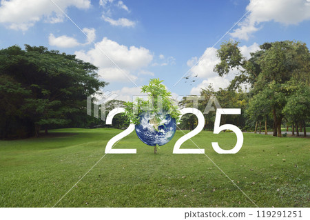 Happy new year 2025 ecological cover, Save the earth concept, Elements of this image furnished by NASA Happy new year 2025 ecological cover, Save the earth concept, Elements of this image furnished by NASA 119291251