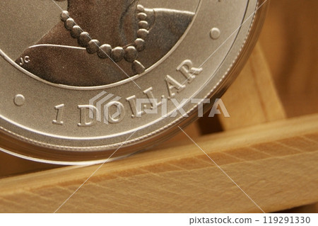 Fragment of an Australian silver coin. 1 dollar close up 119291330