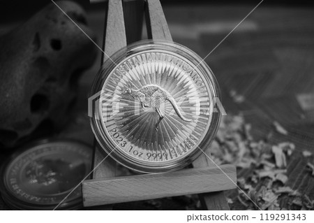 Fine silver investment coin. 1 Dollar Australian Kangaroo 2023. Black and white photo. Fine silver investment coin. 1 Dollar Australian Kangaroo 2023. Black and white photo. 119291343