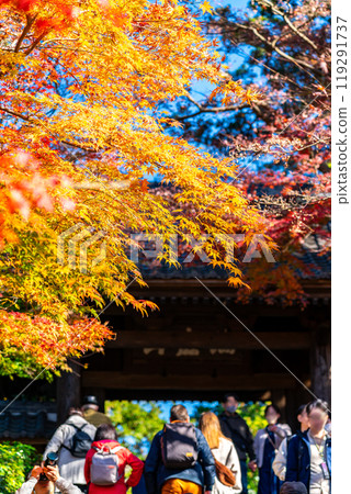 [神奈川縣]圓覺寺美麗的紅葉 119291737