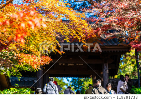 [Kanagawa Prefecture] The vibrant colors of the autumn leaves at Engakuji Temple 119291738