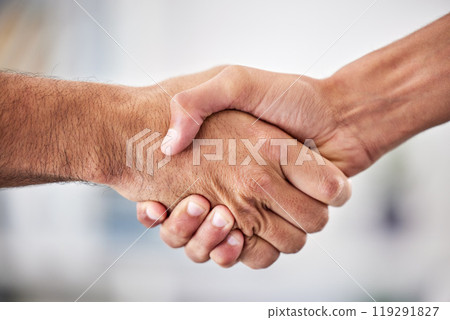Business, thank you or people handshake in office for welcome, hello or job interview, success and hiring deal. Support, offer or b2b men shaking hands for onboarding intro, growth or congratulations 119291827