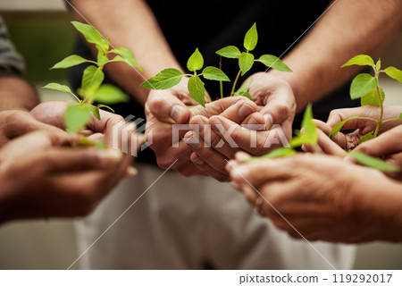 Hands, plants and grow with people or team, business and eco friendly for earth day and collaboration for growth. Investment, environment and community service, nurture or agro for sustainability 119292017
