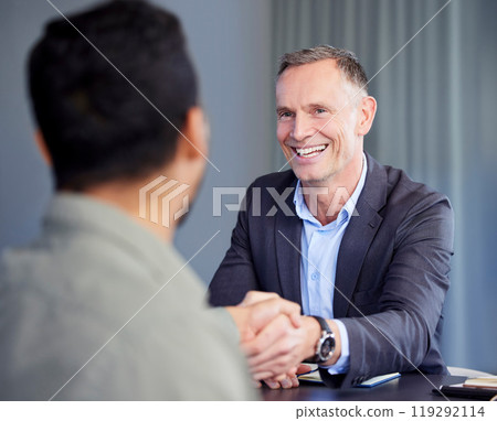 Smile, handshake and business people in office for deal, agreement or b2b partnership discussion. Happy, team and professional men lawyers shaking hands for contract merger, onboarding or recruitment 119292114