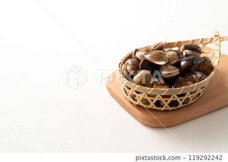 clam clam seafood fresh raw fresh clam live はまぐり ハマグリ clam clam seafood fresh raw fresh clam live はまぐり ハマグリ 119292242