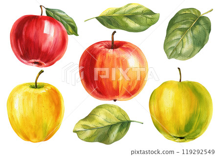Watercolor apples, paper texture isolated on white background, watercolor painting of fruits and leaves set for design Watercolor apples, paper texture isolated on white background, watercolor painting of fruits and leaves set for design 119292549