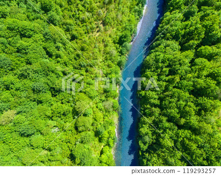 Clear blue river flows through dense green forest. Aerial view. 119293257