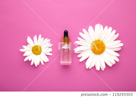 Essential oil in glass bottle with fresh chamomile flowers on pink background. Essential oil in glass bottle with fresh chamomile flowers on pink background. 119293303