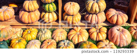 Rows of pumpkins on wooden shelves. Horizontal banner 119293339