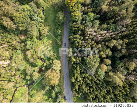 An Aerial View of a Beautifully Curved Road Snaking Through a Lush Green Forest Landscape An Aerial View of a Beautifully Curved Road Snaking Through a Lush Green Forest Landscape 119293822