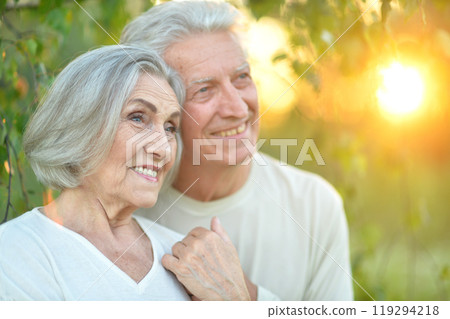 Portrait of beautiful senior couple posing in the park Portrait of beautiful senior couple posing in the park 119294218