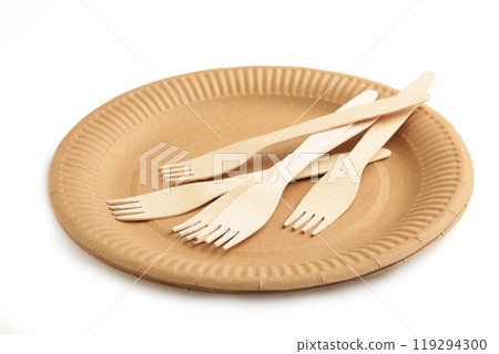 Eco - friendly plate with fork isolated on white background. Disposable tableware 119294300