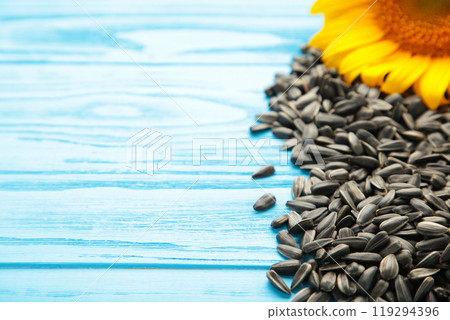 Sunflower with seeds on blue wooden background with copy space 119294396