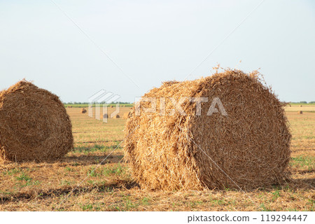 Hay bail harvesting in golden field landscape 119294447
