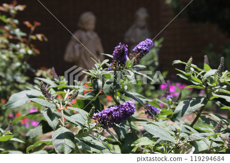 Close up of Purple Flower Bush With Statues in Background Shallow DOF 119294684