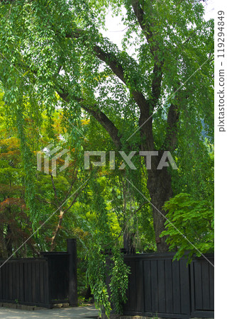 The gate of the samurai residence 119294849
