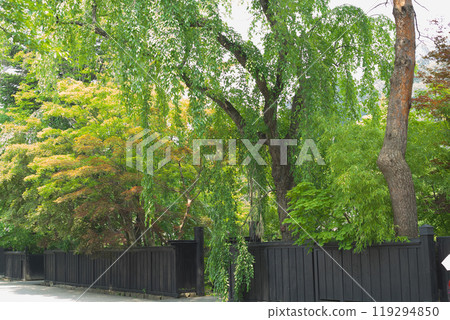 Back entrance of the samurai residence Back entrance of the samurai residence 119294850