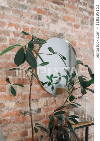 Mirror on the wall with green plant in pot, brick wall, real photo 119295153