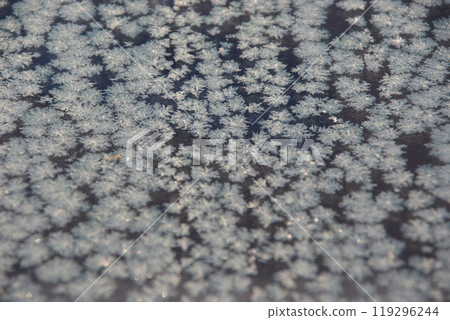 在寒冷的零度以下的早晨，薄冰池塘上的霜花晶體 3 119296244