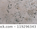 This image showcases a detailed close up of a beautifully designed marble counter top that features a striking marble texture across its surface 119296343