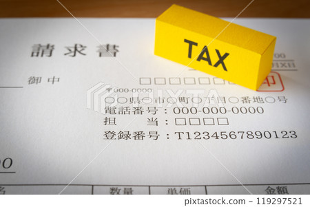 帶有註冊號的發票 發票系統 119297521