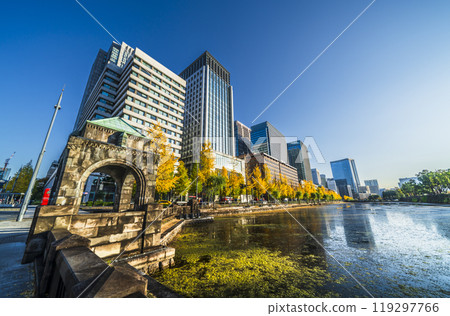 Autumn Tokyo cityscape: Ginkgo trees and skyscrapers along Hibiya Street [Chiyoda Ward, Tokyo] 119297766