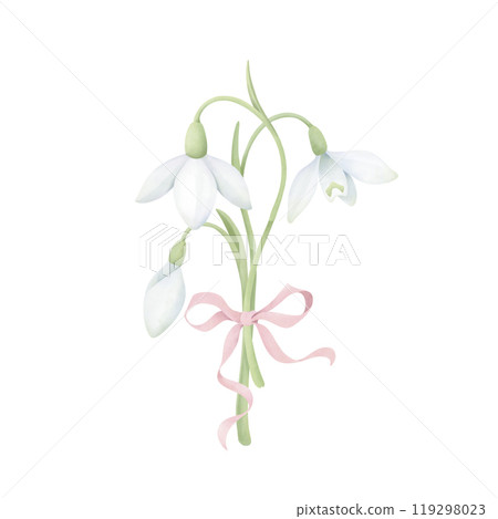 Bunch of snowdrops with a pink ribbon. Delicate watercolor hand-drawn painting on a white background. Spring flower clipart for invitations, greetings, postcard design. Bunch of snowdrops with a pink ribbon. Delicate watercolor hand-drawn painting on a white background. Spring flower clipart for invitations, greetings, postcard design. 119298023