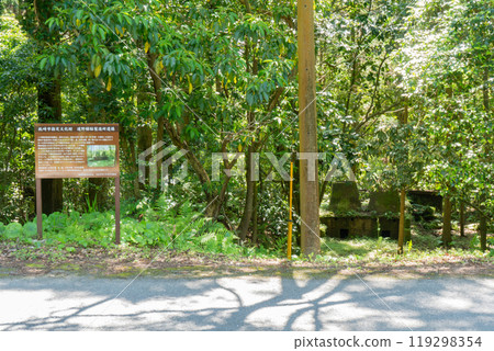 Scenery of the remains of the Michino Camphor Factory Scenery of the remains of the Michino Camphor Factory 119298354
