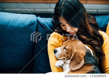 A cozy home setting, a young Asian woman peacefully naps on the sofa with her Beagle dog, capturing the essence of trust, togetherness, and happiness in their portrait of love. Pet love 119299005