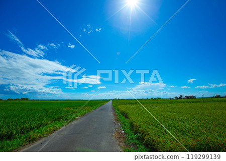 與米耳朵的風景 與米耳朵的風景 119299139
