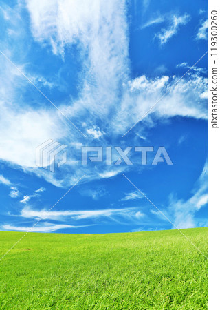 Autumn blue sky and beautiful grassland scenery 119300260