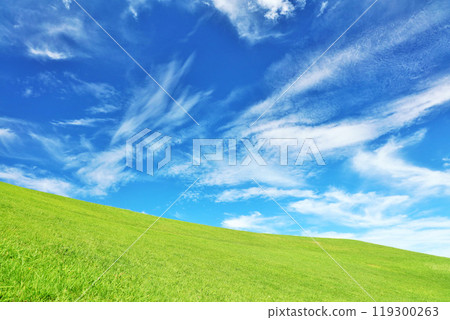 Autumn blue sky and beautiful grassland scenery Autumn blue sky and beautiful grassland scenery 119300263