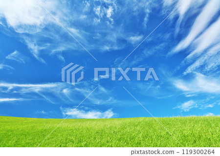 Autumn blue sky and beautiful grassland scenery Autumn blue sky and beautiful grassland scenery 119300264