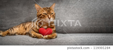 Bengal cat with a red plush heart. 119301284
