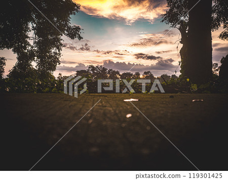 A tranquil sunset viewed through trees, casting warm colors over a peaceful landscape in the early evening A tranquil sunset viewed through trees, casting warm colors over a peaceful landscape in the early evening 119301425