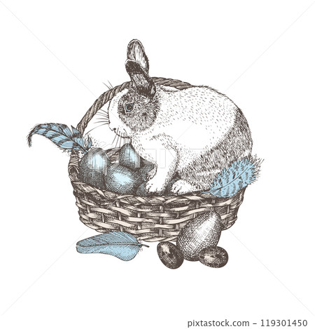Wicker basket with eggs, bird pen. Hand drawn sketch rabbit, retro rustic style. Idea for farmers market flyers, banner, advertising. Colored vintage vector illustration. Isolated on white background. Wicker basket with eggs, bird pen. Hand drawn sketch rabbit, retro rustic style. Idea for farmers market flyers, banner, advertising. Colored vintage vector illustration. Isolated on white background. 119301450