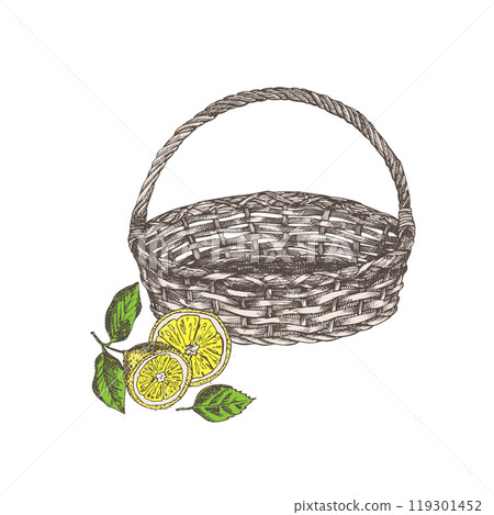 Empty wicker basket . Near lemons. Hand drawn sketch citrus fruit, retro rustic style. Idea for farmers market flyers, banner, advertising. Colored vintage vector illustration. Isolated on white. 119301452