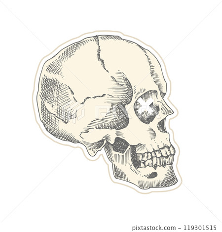 Vintage sticker human skull with white crosses. Art collage Zine Culture style. Hipster barber shop concept. Tattoo, t-shirt design Realistic hand drawn sketch. Skeleton head Vector illustration. Vintage sticker human skull with white crosses. Art collage Zine Culture style. Hipster barber shop concept. Tattoo, t-shirt design Realistic hand drawn sketch. Skeleton head Vector illustration. 119301515