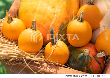 Halloween event image 119301550
