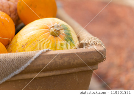 萬聖節活動圖片 萬聖節活動圖片 119301551