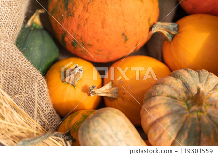 Halloween event image Halloween event image 119301559