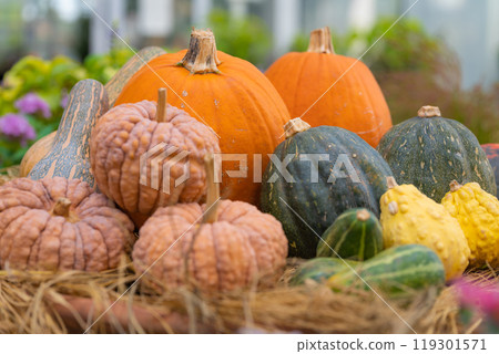 萬聖節活動圖片 119301571