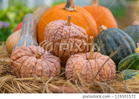 萬聖節活動圖片 119301572