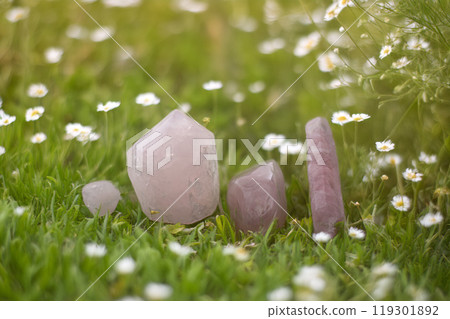 pink quartz in nature pink quartz in nature 119301892