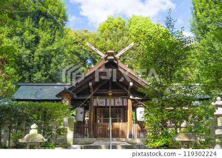 In front of the main hall of Kijimaza Amaterasu Mitama Shrine (Uzumasa, Ukyo Ward, Kyoto City) 119302224