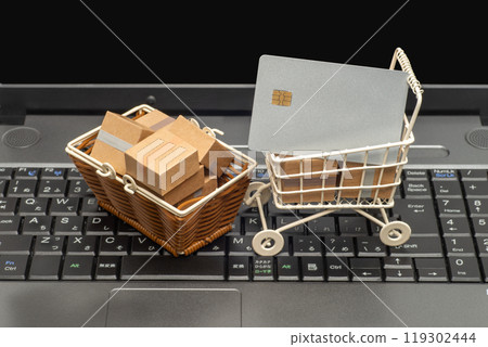 網上購物時使用信用卡支付 119302444