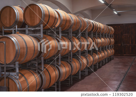 Rows of wine barrels resting in cellar Rows of wine barrels resting in cellar 119302520