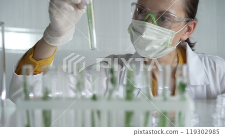 Woman scientist and researcher, wearing a lab coat, green protective gloves and face mask holding a test tube with plants inside, close up. Science concepts Woman scientist and researcher, wearing a lab coat, green protective gloves and face mask holding a test tube with plants inside, close up. Science concepts 119302985